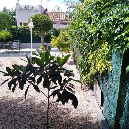 Casa Verdeesvida Bellvei del Penedes エクステリア 写真