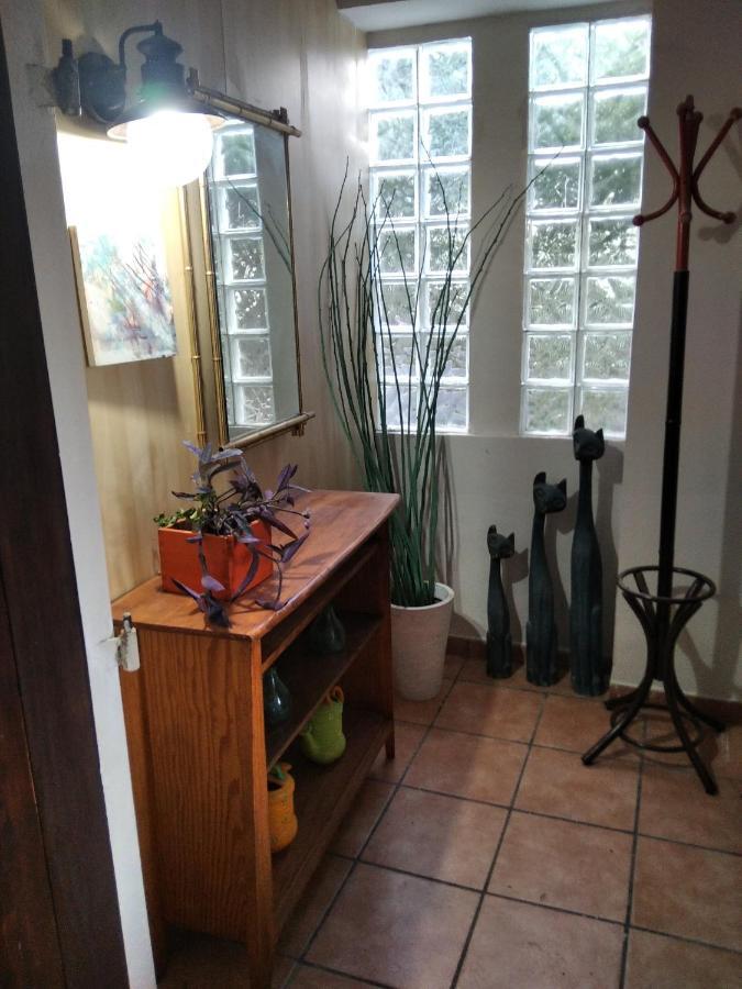 Casa Verdeesvida Bellvei del Penedes エクステリア 写真